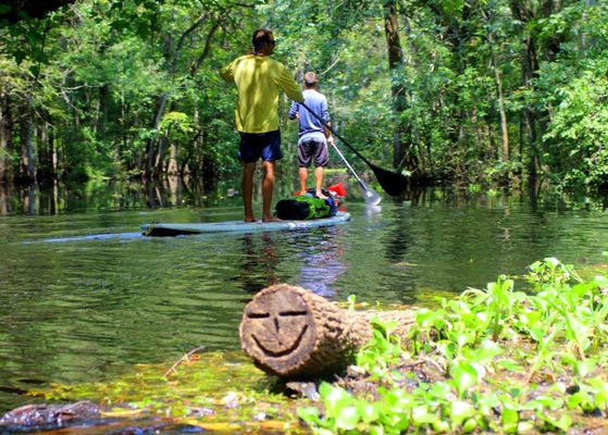Happy Paddler Kayak Tours & EcoVentures by null