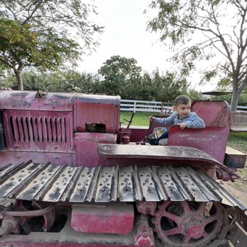 Gizdich Ranch - The fun tractor in the picnic/play area - Bakeries Near Me - Watsonville, California Gizdich Ranch - The fun tractor in the picnic/play area - Bakeries Near Me - Watsonville, California