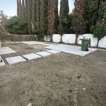 A & A Tree Service - Before - Tree Services Near Me