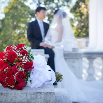 Celestial Sights Photography - Event Photography Near Me Celestial Sights Photography - Event Photography Near Me