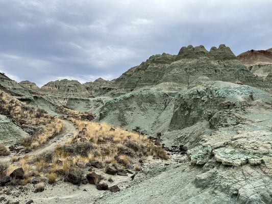 John Day Fossil Beds National Monument by null