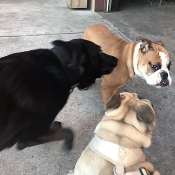 Underdogs Pub - Pubs Near Me - Houston, Texas