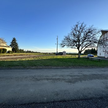 Lone Owl Farm - Beautiful LOCAL tree farm - Christmas Trees Near Me - Beaverton, Oregon Lone Owl Farm - Beautiful LOCAL tree farm - Christmas Trees Near Me - Beaverton, Oregon