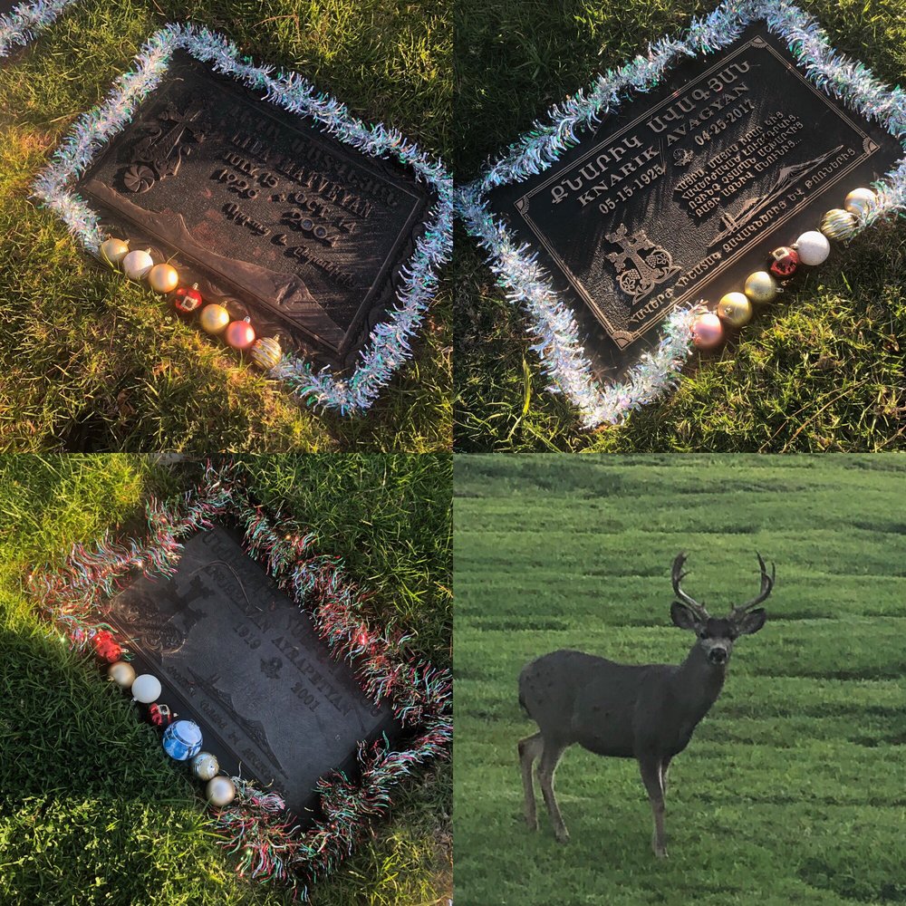 FOREST LAWN CHURCH OF THE HILLS 11 Photos Funeral Services