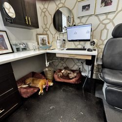 Visionary Eye Care - Hard at work.