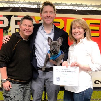 SF Puppy Prep - Pet Training Near Me - San Francisco, California SF Puppy Prep - Pet Training Near Me - San Francisco, California