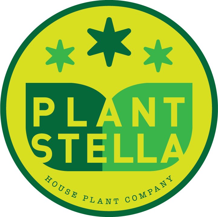 Plant Stella - wedding in Greenville, SC