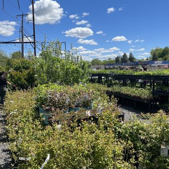 PRIMEX GARDEN CENTER - Updated February 2026 - 63 Photos & 78 Reviews