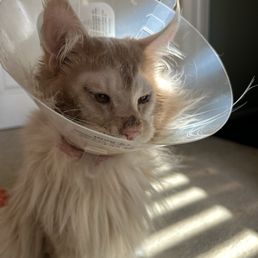 Already seeing better!
