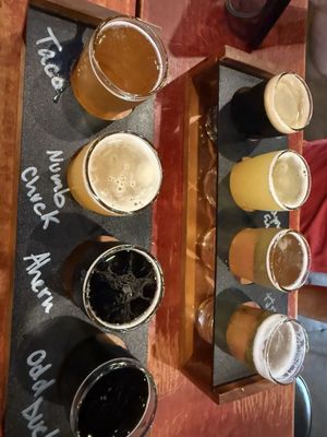 Wichita Falls Brewing Company by null