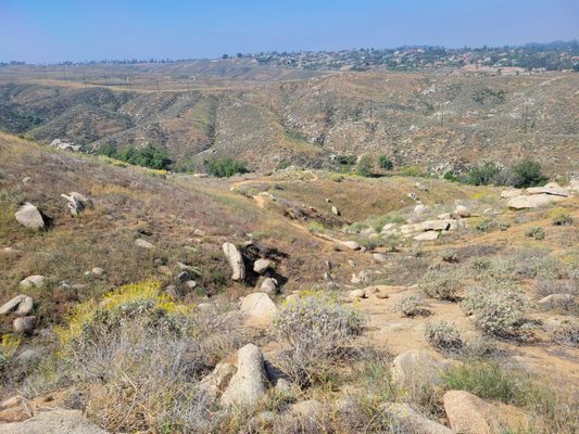 Sycamore Canyon Wilderness Park by null