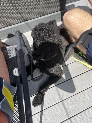 The Sound Pizza & Pub by null