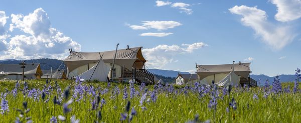 Under Canvas West Yellowstone by null
