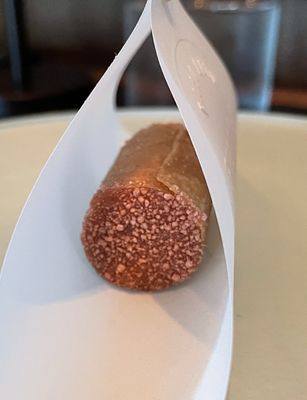 Protégé by null Protégé by null