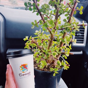 Rozet Nursery - Nurseries & Gardening Near Me - Tucson, Arizona