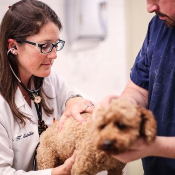 Pound Ridge Veterinary Center - Veterinarians Near Me - Pound Ridge, New York Pound Ridge Veterinary Center - Veterinarians Near Me - Pound Ridge, New York
