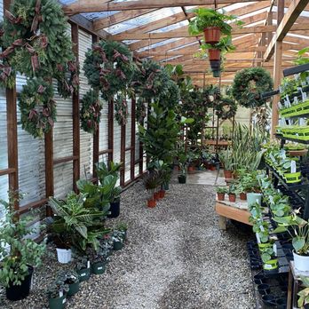 Lincoln Avenue Nursery - Nurseries & Gardening Near Me - Pasadena, California Lincoln Avenue Nursery - Nurseries & Gardening Near Me - Pasadena, California