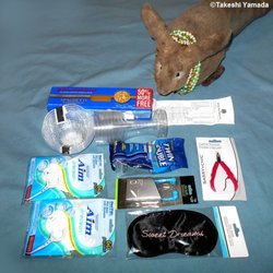 Dollar Tree