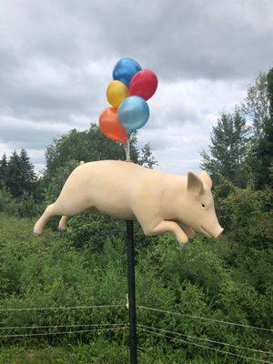Great Vermont Corn Maze by null