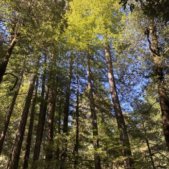 Hidden Springs Campground - Campgrounds Near Me - Garberville, California Hidden Springs Campground - Campgrounds Near Me - Garberville, California