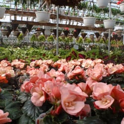 Piney Creek Greenhouse & Florist