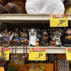 Haggen - Halloween highland cow