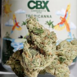 Kushism - Cannabiotix