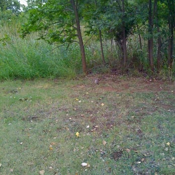 Abilene State Park - Armadillo! - Parks Near Me - Tuscola, Texas
