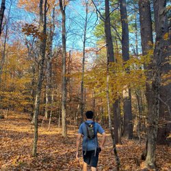 Monadnock State Park