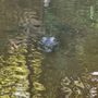 Beyond the Bayou Tours