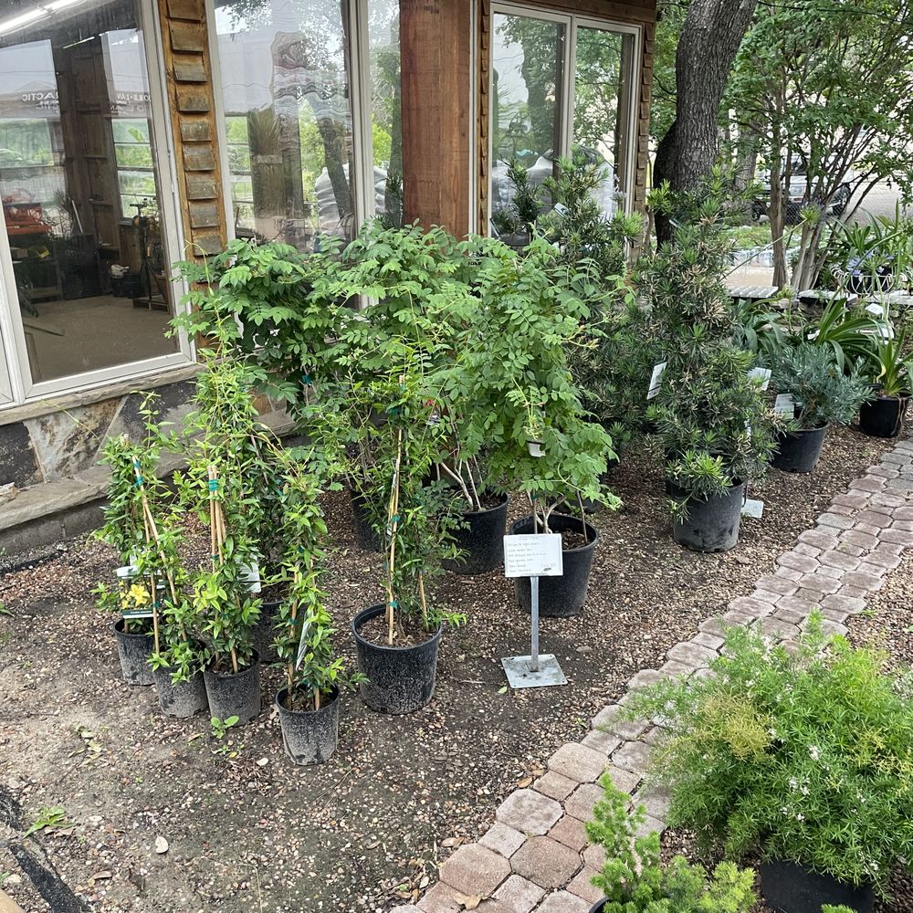 Granbury Nursery - Nurseries & Gardening Near Me - Granbury, Texas Granbury Nursery - Nurseries & Gardening Near Me - Granbury, Texas
