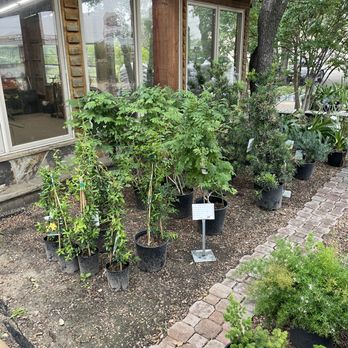 Granbury Nursery - Nurseries & Gardening Near Me - Granbury, Texas Granbury Nursery - Nurseries & Gardening Near Me - Granbury, Texas