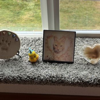 Monarch In-home Pet Euthanasia and Aquamation - My baby - Cheeto's memorial. - Veterinarians Near Me Monarch In-home Pet Euthanasia and Aquamation - My baby - Cheeto's memorial. - Veterinarians Near Me