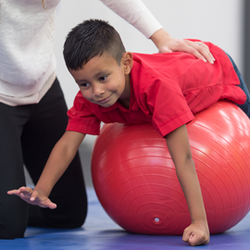 Sterling Physical Therapy
