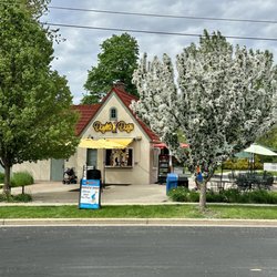 Doyle's Dogs - Picture perfect