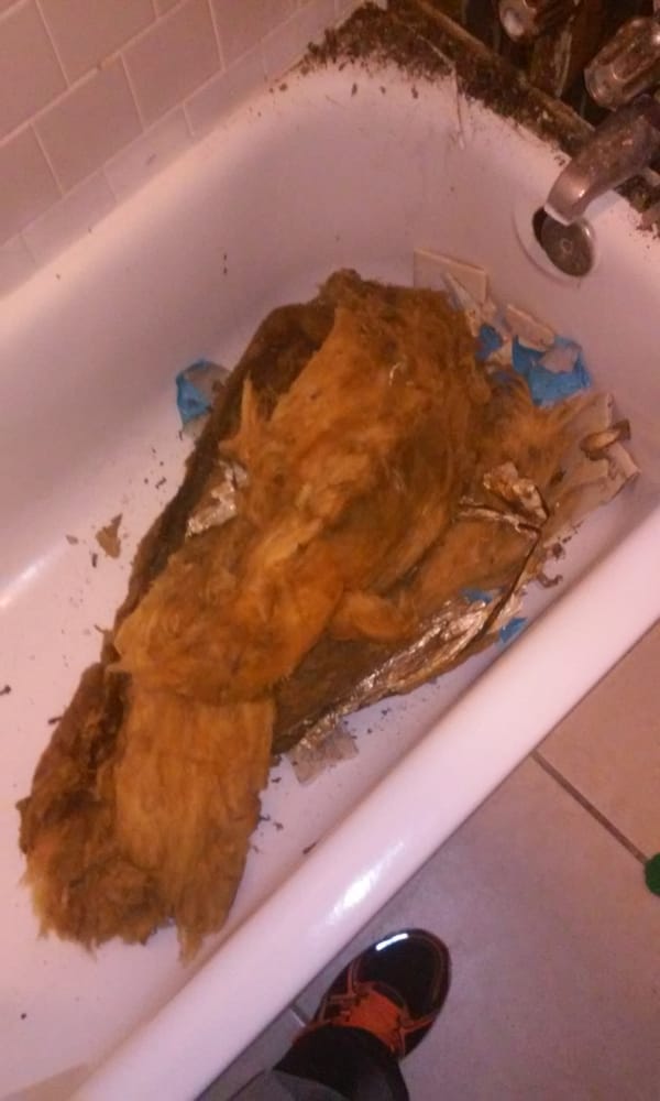 WILLOW LAKES OF ARLINGTON APARTMENTS Updated April 2024 7703 Hare