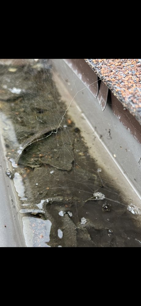 Slide of PALACIO Roofing