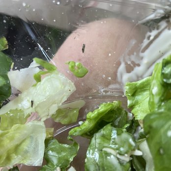 Wendy's - Bugs on my salad. YUCK. - Burgers Near Me - Floral Park, New York Wendy's - Bugs on my salad. YUCK. - Burgers Near Me - Floral Park, New York