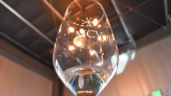 MCV Wines by null