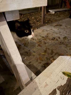 The Post Beer & Wine Garden by null