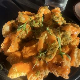 Calamari Calamari