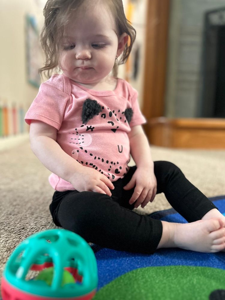 Dany’s Little House - childcare center in DeWitt, NY