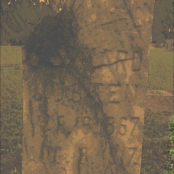 Myrtle Hill Memorial Park - Funeral Services & Cemeteries Near Me - Tampa, Florida