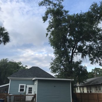 Sunrise Tree Service - Before - Tree Services Near Me - Tampa, Florida Sunrise Tree Service - Before - Tree Services Near Me - Tampa, Florida