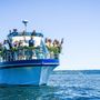 Riviera Cruises