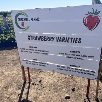 Creswell U pick - Pick Your Own Farms Near Me - Brentwood, California Creswell U pick - Pick Your Own Farms Near Me - Brentwood, California