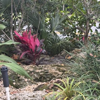 The Green Experts Landscaping - Installing in early Feb - Lawn Services Near Me - Davie, Florida The Green Experts Landscaping - Installing in early Feb - Lawn Services Near Me - Davie, Florida