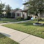 Photo of Primo Lawn Care