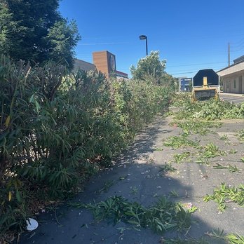 John N Eddie's Tree Care - Tree Services Near Me