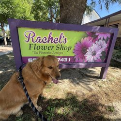 My dog posing by the shop